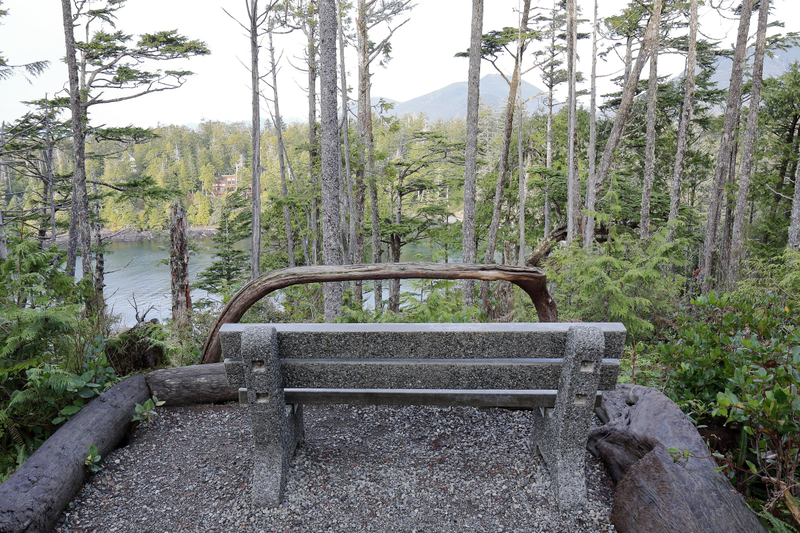 Illustration for article titled Trip Recap: 2017-12-09 on the Pacific Rim Highway to the Wild Pacific Trail